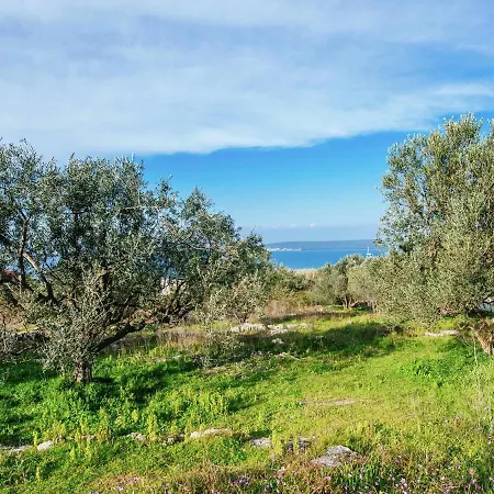 Spacious With Terrace In Apartman